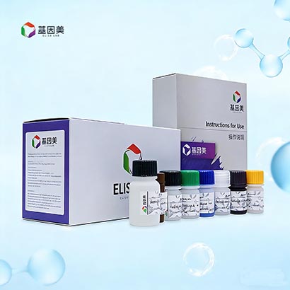 小鼠C-型钠尿肽(CNP)检测试剂盒