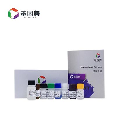 猪肺表面 活性物质相关蛋白A(SP-A)ELISA Kit
