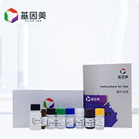 猪组织金属蛋白酶抑制因子1(TIMP-1)ELISA Kit